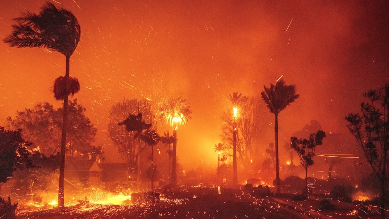 Trump Tours CA Wildfires, As Climate Justice Groups Call Out  Devastation of “Drill Baby Drill” Agenda