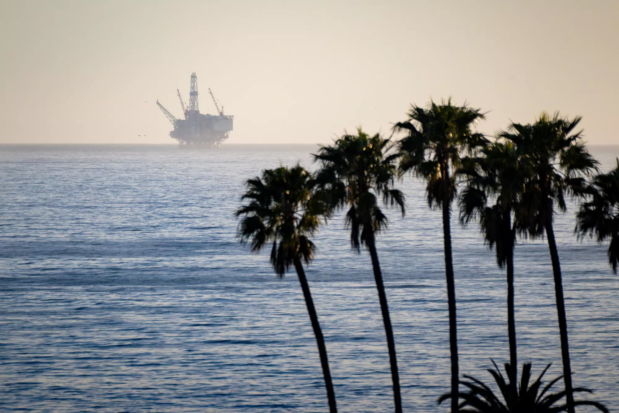 An off-shore oil platform on the hazy Pacific Ocean with palm trees in the foreground